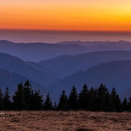 Haus Elisabeth - Hirschsprung, 2 Schlafzimmer, Feldberg 公寓 *