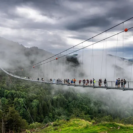 Haus Elisabeth - Hirschsprung, 2 Schlafzimmer, Feldberg *