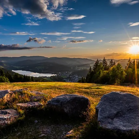 Haus Elisabeth - Hirschsprung, 2 Schlafzimmer, Feldberg 公寓 费尔德伯格