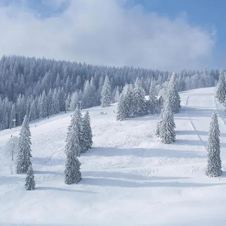 Apartamento Haus Elisabeth - Hirschsprung, 2 Schlafzimmer, Feldberg *
