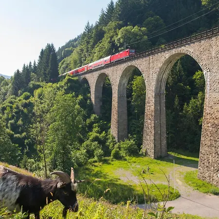 Haus Elisabeth - Hirschsprung, 2 Schlafzimmer, Feldberg *