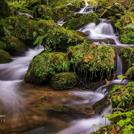 Haus Elisabeth - Hirschsprung, 2 Schlafzimmer, Feldberg 公寓 *