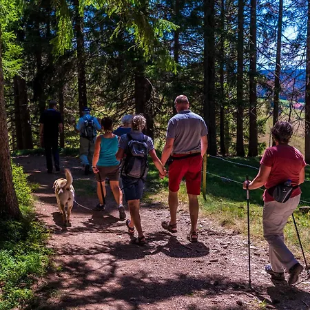 Haus Elisabeth - Hirschsprung, 2 Schlafzimmer, Feldberg 公寓 费尔德伯格