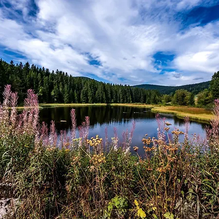 Haus Elisabeth - Hirschsprung, 2 Schlafzimmer, Feldberg
