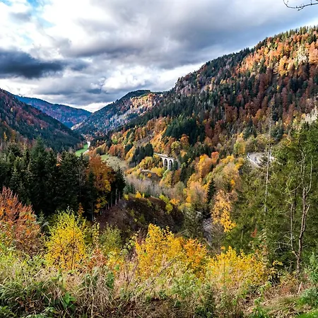 Haus Elisabeth - Hirschsprung, 2 Schlafzimmer, Feldberg Apartamento *