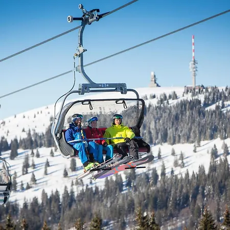 Haus Elisabeth - Hirschsprung, 2 Schlafzimmer, Feldberg 公寓 费尔德伯格