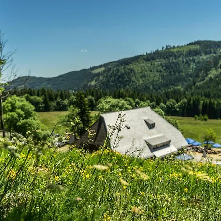 Haus Elisabeth - Hirschsprung, 2 Schlafzimmer, Feldberg *